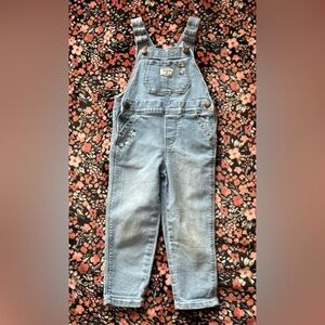 Girls Light Blue Denim Overalls with Floral Embroidery